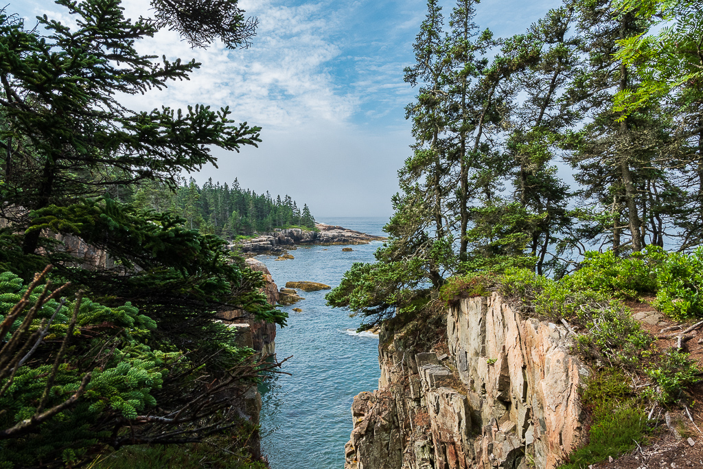 Nature In Class A By Rick Williams For Ravens Nest OCT-2018.jpg